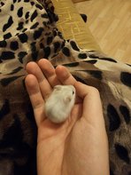 He pooped on my hand